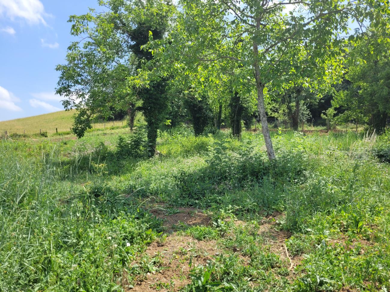 Terrain à saint georges sur allier