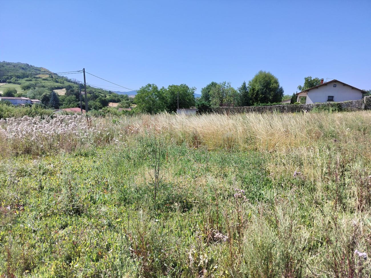 Terrain à courcourt