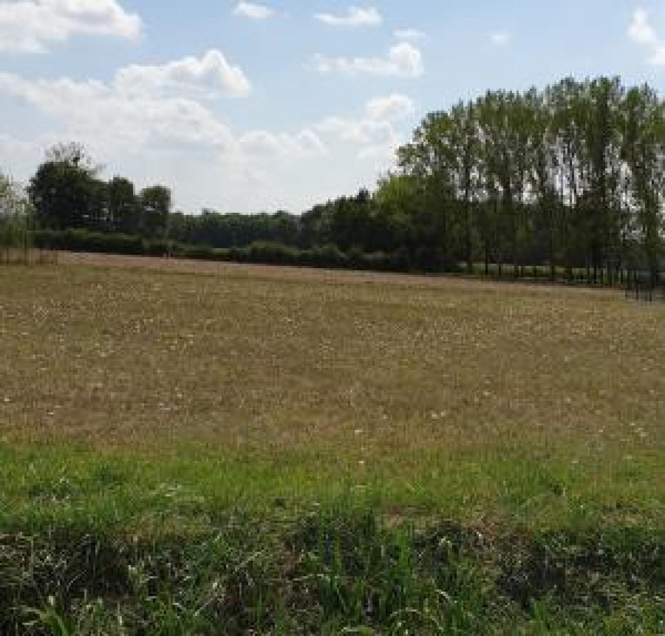 Terrain à lezoux
