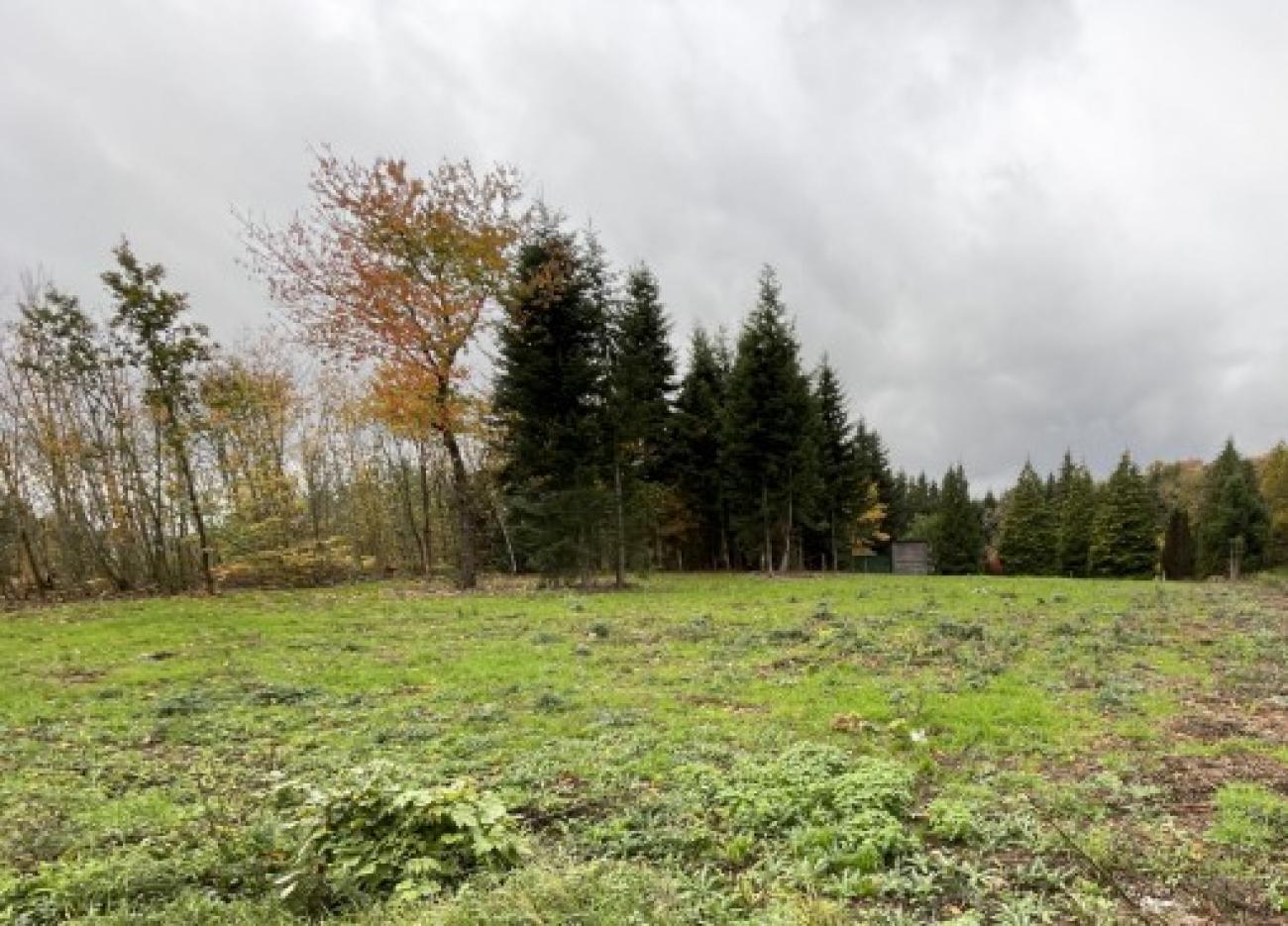 Terrain à CELLES SUR DUROLLE