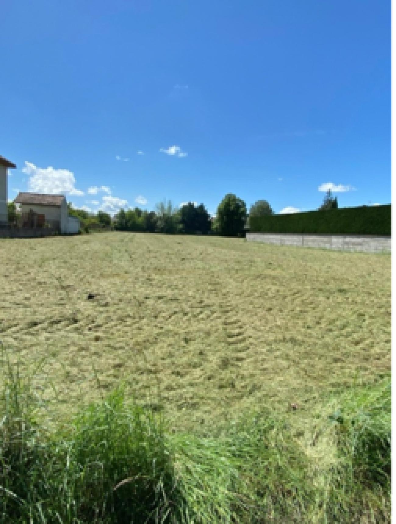 Terrain à maringues