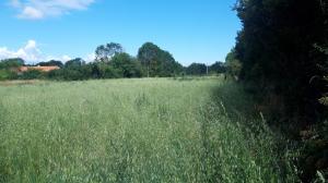 1594633245t_rue_de_la_Malgarnie1.jpg