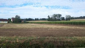 1596812901in_seuillet_2.jpg