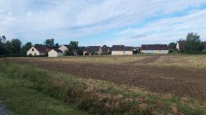 1596812935in_seuillet_1.jpg
